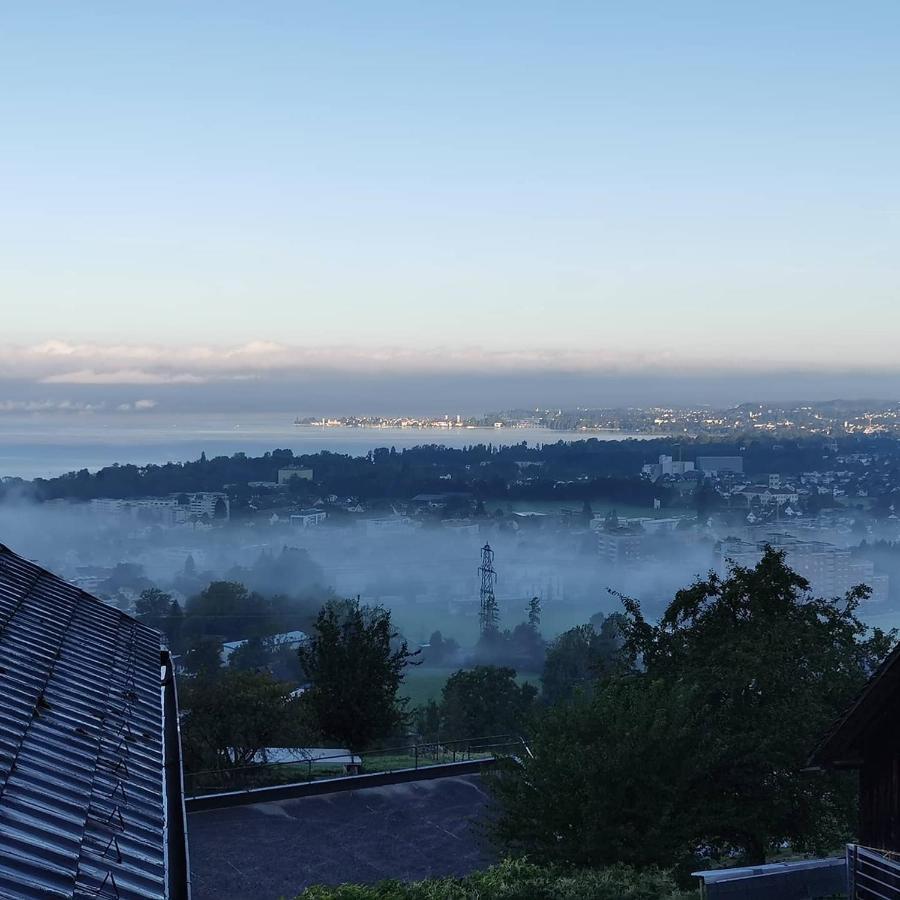 Bauernhaus Am Pfaenderhang Mit Seeblick 洛查贝布里根 外观 照片